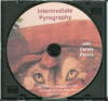 Intermediate Pyrography DVD