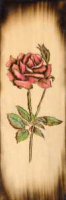 Rose Woodburning Kit