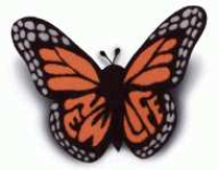 Monarch Butterfly Magnet (Package of 50)